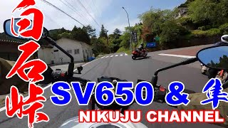 【SV650】新緑の白石峠上り～定峰峠の『峠の茶屋』まで【GSX-1300R隼】