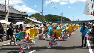 いなん　四万十よさこい２０１８　不和八幡宮　４ｋ