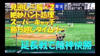 延長戦で阪神快勝　2019/07/27　東京ドーム