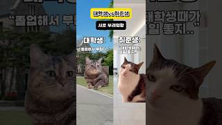 대학생vs취준생, 누가 더 꿀일까?? #고양이밈