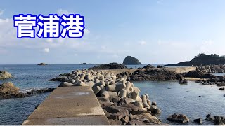 【菅浦港】釣り場情報（松江市）