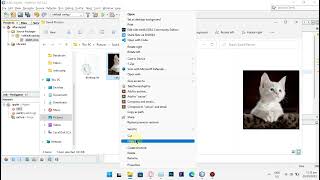 Java Applet - Images (No Commentary)
