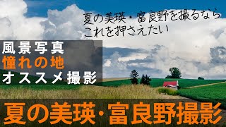 【夏の北海道撮影】写真家が紹介する夏の美瑛・富良野エリアのオススメ