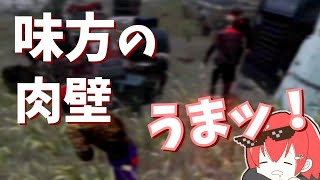 【DBD】味方の最高すぎる肉壁で通電チェイスしたシーン【なな切り抜き】