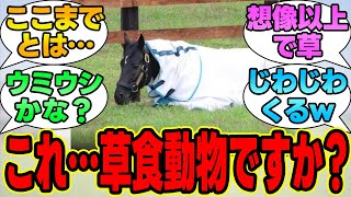 『コントレイルくん、スルースキルがマジで高すぎるｗｗｗ』に対する競馬民の反応集