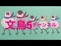 【爆笑】文鳥コント詰め合わせ　 013