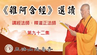 正法山延壽寺開山住持釋道正法師開示《雜阿含經》選讀第九十二集