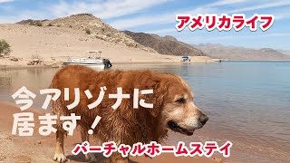 【アメリカライフ】バーチャルホームステイ　今アリゾナに居ます。Mead湖にボートで出てみたよ。ゴールデンレトリバー3匹との暮らし