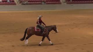 200223 Rookie Emily Schiavi on Pale Black Gun