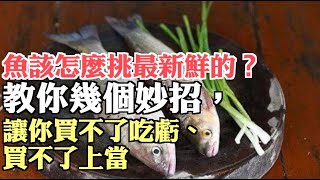 魚該怎麼挑最新鮮的？教你幾個妙招，讓你買不了吃虧、買不了上當