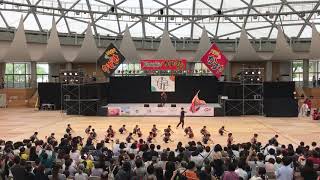 しんぐうよさこいキッズ(ジュニアフェスタ) YOSAKOIかすや祭り 2019.10.12(土)