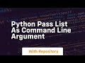 python pass list as command line argument