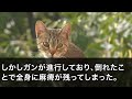 【スカッとする話】ガンで闘病中、私1人で支えた義父の葬儀で義母「邪魔者は香典だけ置いて消えろ！」夫「そうだな、邪魔者はいらない」→次の瞬間、夫が義母の前に立ち...【修羅場】