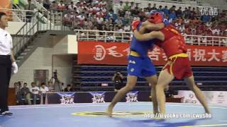 2016 China Men's Sanda Championship finals 85kg （wang shaohua vs yan bowen）