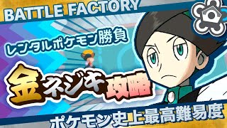 【金ネジキ】前人未到の100連勝に挑戦企画（第19回）（22/07/23）