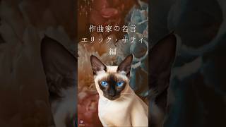 【猫が語る作曲家の名言】エリック・サティ編 #名言 #作曲家 #クラシック #シャム猫 #shorts