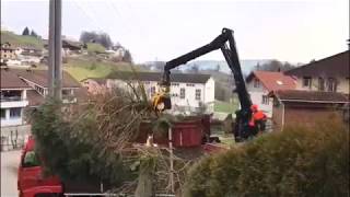 Geri Wicki Transporte Spezial Baumfällung mit Fällgreifer Gartenholzerei