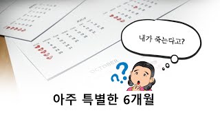 매우 특별한 6개월