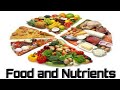 Essential nutrients for our body/Nutrients in food / New stars Ishmeet Ishnavi