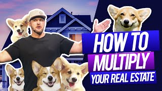 Easy Steps To Growing Your Wealth | Featuring Corgis!