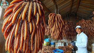 How Chinese Farmers Raise Billions of Centipedes For Medicine - Centipedes Farming Method In China