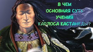 В ЧЕМ ОСНОВНАЯ СУТЬ УЧЕНИЯ КАРЛОСА КАСТАНЕДЫ? #карлоскастанеда #духовное_развитие #просветление