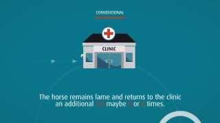 Hallmarq Standing Equine MRI:  Conventional Vs MRI