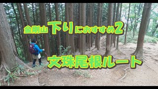 初心者が行く山歩き。金剛山 下り文殊尾根ルート