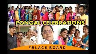 l MSU Constituent College Kadayanallur l Pongal Celebrations l Blackboard channel l