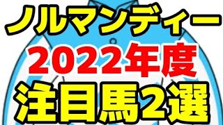 【ノルマンディーOC】2022年度募集注目馬2選【フジインザスカイの21/タニノハイクレアの21】