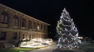 Missouri S&T lights up campus for the holidays.