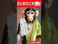 sinna dora bangula mida song folk song shorts viral treanding monkey