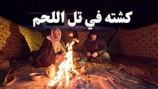 Camping in Tel Al Laham | Green Oasis, BBQ Birds, Delicious Kabsa and Night Wildlife Photography