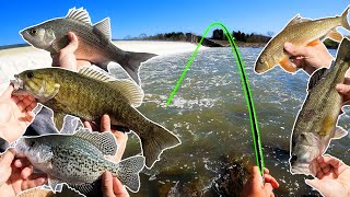 Insane day of spillway fishing (Holston River)