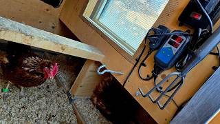 Installing Heating Pads in a Chicken Coop Nesting Box