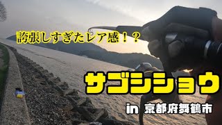 【ライトショアジギング】【京都府舞鶴市】春のサゴシを釣れ！