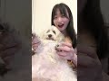 ボーイフレンドっく‼︎【わんことの2人暮らし🐶🏠】 ミックス犬