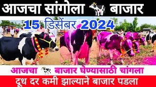 आजचा सांगोला 🐄 बाजार 15 डिसेंबर 2024 आजचा बाजार घेण्यासाठी चांगला #sangola_bazar #hf_cow #dairy_farm