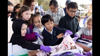 Super STEM Saturday @ CSUSM