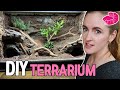 How I Made my Vivarium Look Like a Zoo Exhibit with FOAM - DIY Terrarium Background Walkthrough!