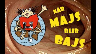 När majs blir bajs