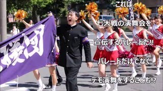 東北大学応援団新歓PV2016