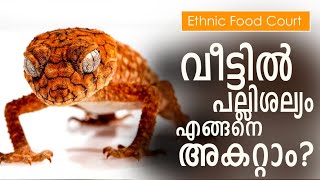 വീട്ടിൽനിന്ന് എങ്ങനെ പല്ലിശല്യo അകറ്റാം