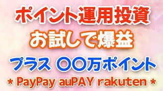 ポイント運用投資  お試しで爆益  プラス〇〇万ポイント  PayPay auPAY rakuten