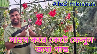 কাটিং, পটিং, মাটি তৈরী কিভাবে বসাবো গাছ ATo Z Hibiscus plant care