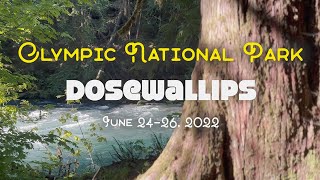 Olympic National Park - Dosewallips River Backpacking Vlog (2 nights)