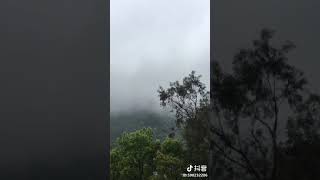 清明时节雨纷纷…思念，怀念，都成了永远的想念……愿您在天堂一切安好……