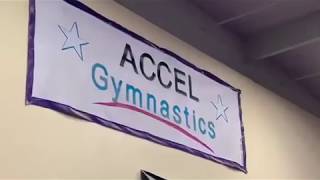 Accel Gymnastics Boys Team is Ready!!!!