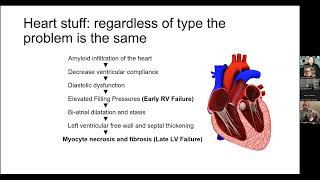 Nursing and Amyloid