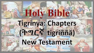 AudioBible：Tigrinya：40017 Matthew 017